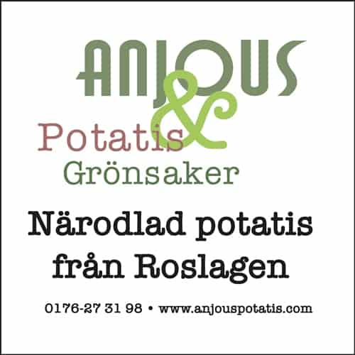 Anjous potatis